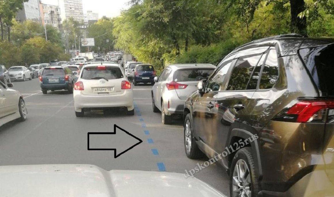 «Мне показалось?»: новая синяя разметка озадачила автомобилистов Владивостока