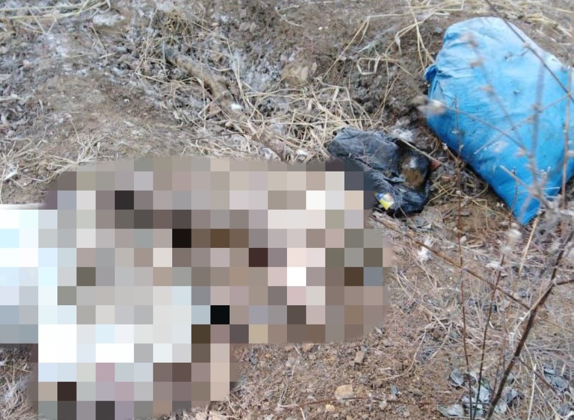 Три пакета с трупами обнаружены в пригороде Владивостока