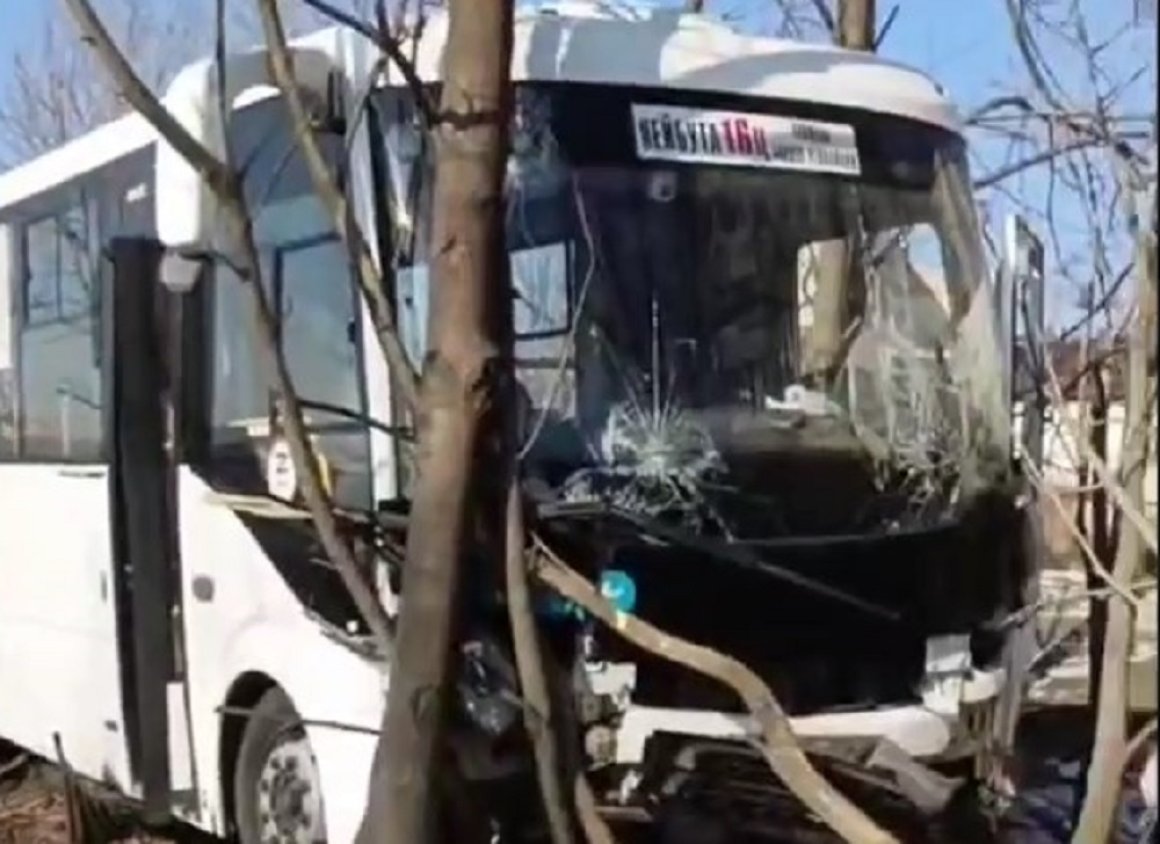 Стало плохо за рулем: пассажирский автобус врезался в дерево во Владивостоке — подробности