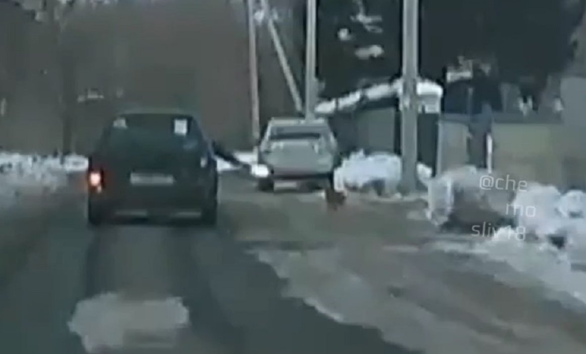 «Я гангстер»: вопиющий случай с собакой попал на видео в Приморье
