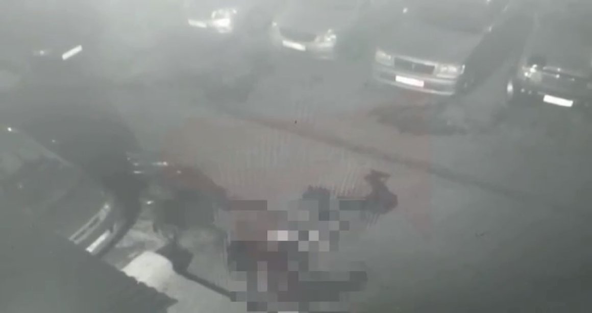Собак было не менее пяти: двойное убийство попало на камеры во Владивостоке