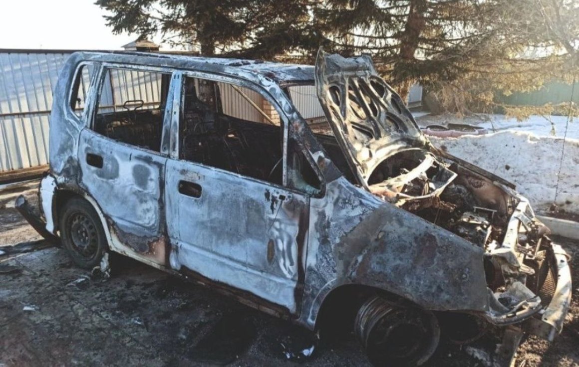 Заметила сама хозяйка: мощный пожар охватил автомобиль в Приморье