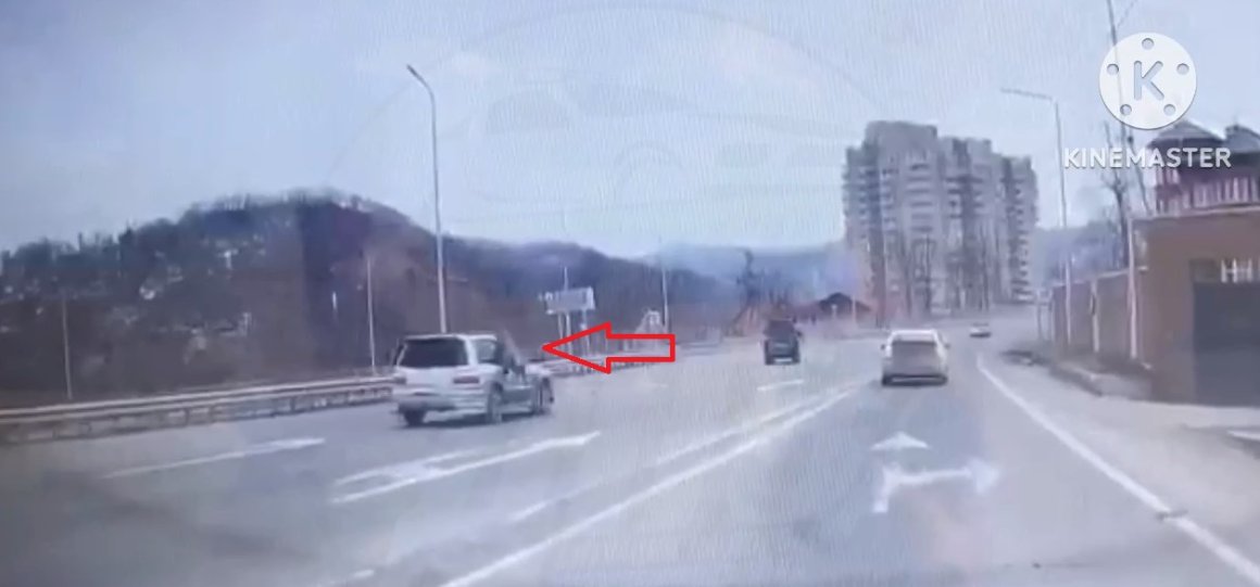 «Она на него напала»: на трассе в районе Шаморы произошло необычное ДТП