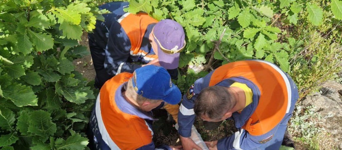 Прогулка по скале закончилась печально для жительницы Приморья