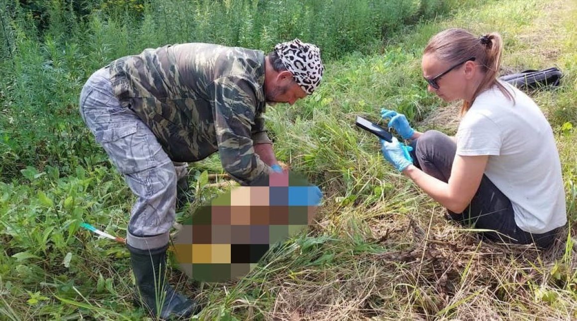 Трагические «сказочные» события произошли в реальной жизни