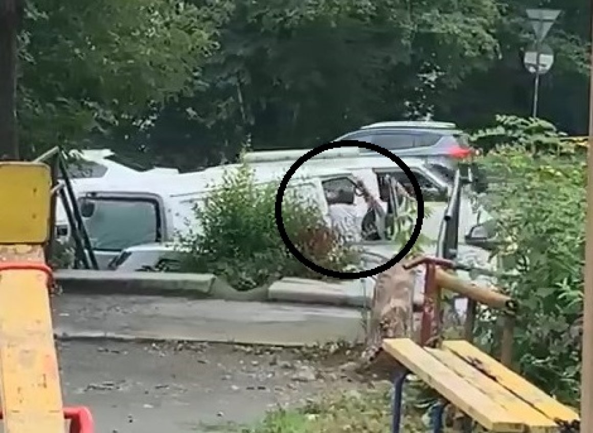 Пешеход избил водителя во Владивостоке — видео
