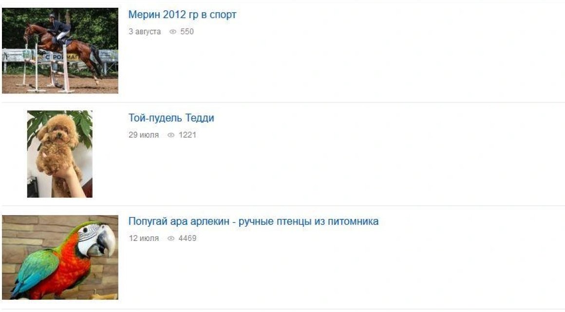 Во Владивостоке найдены пять самых дорогих животных