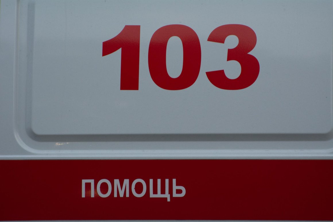Хищник напал на человека на оживлённой улице в Приморье