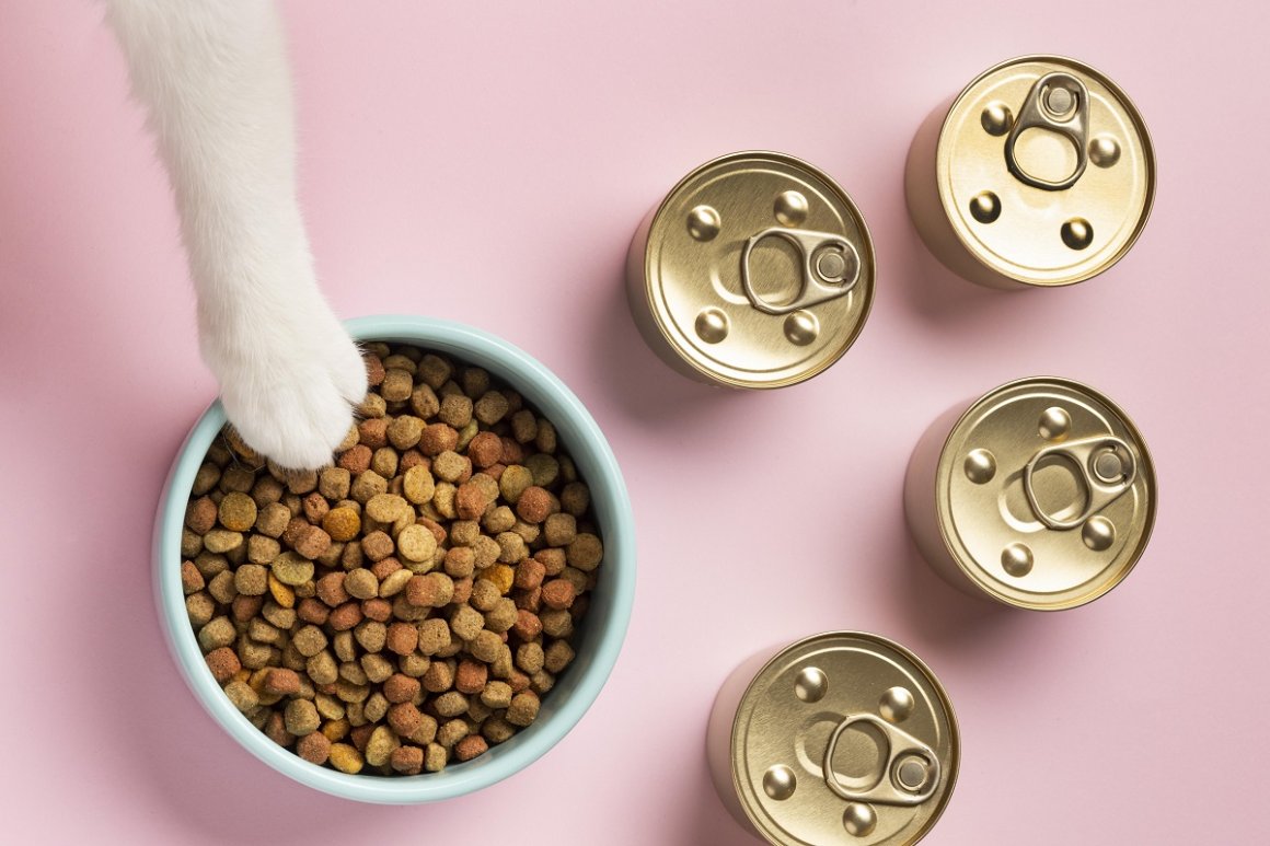 Названы продукты, которыми кошек лучше не кормить