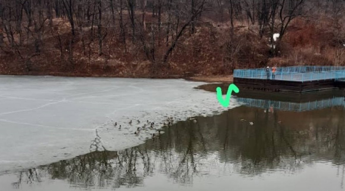 Поставлена окончательная точка в вопросе парка Минного городка во Владивостоке