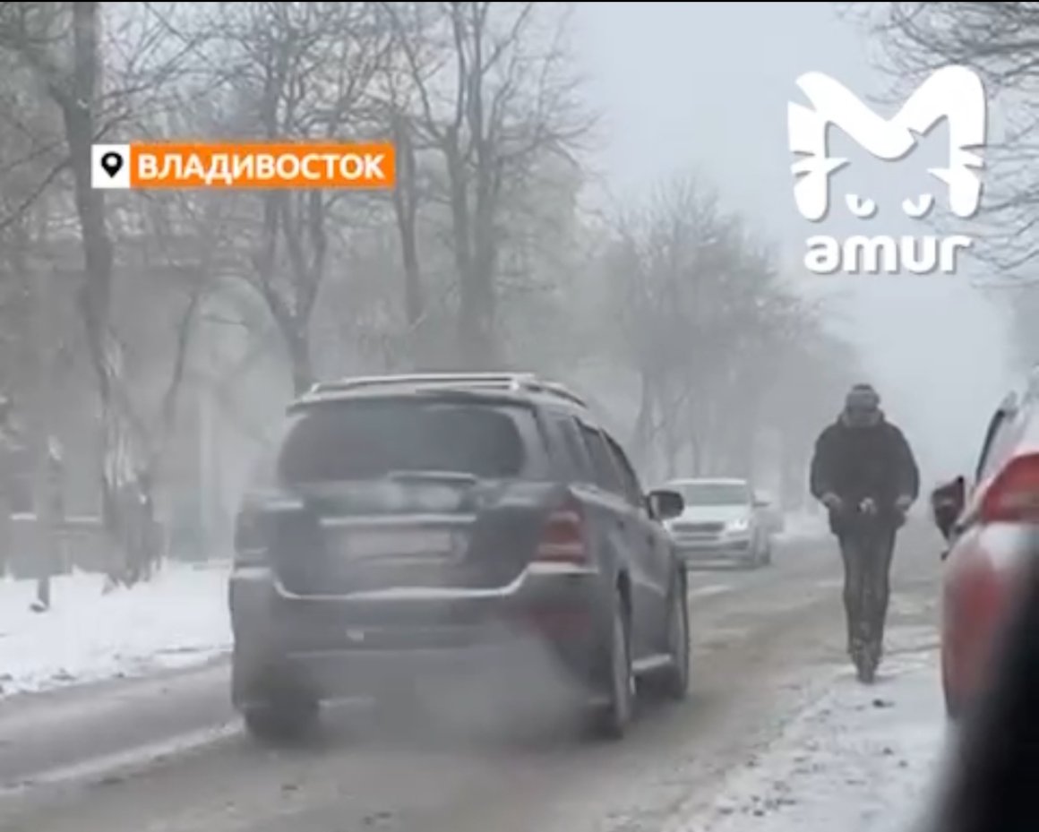 Удивительный для снегопада транспорт замечен на улицах Владивостока
