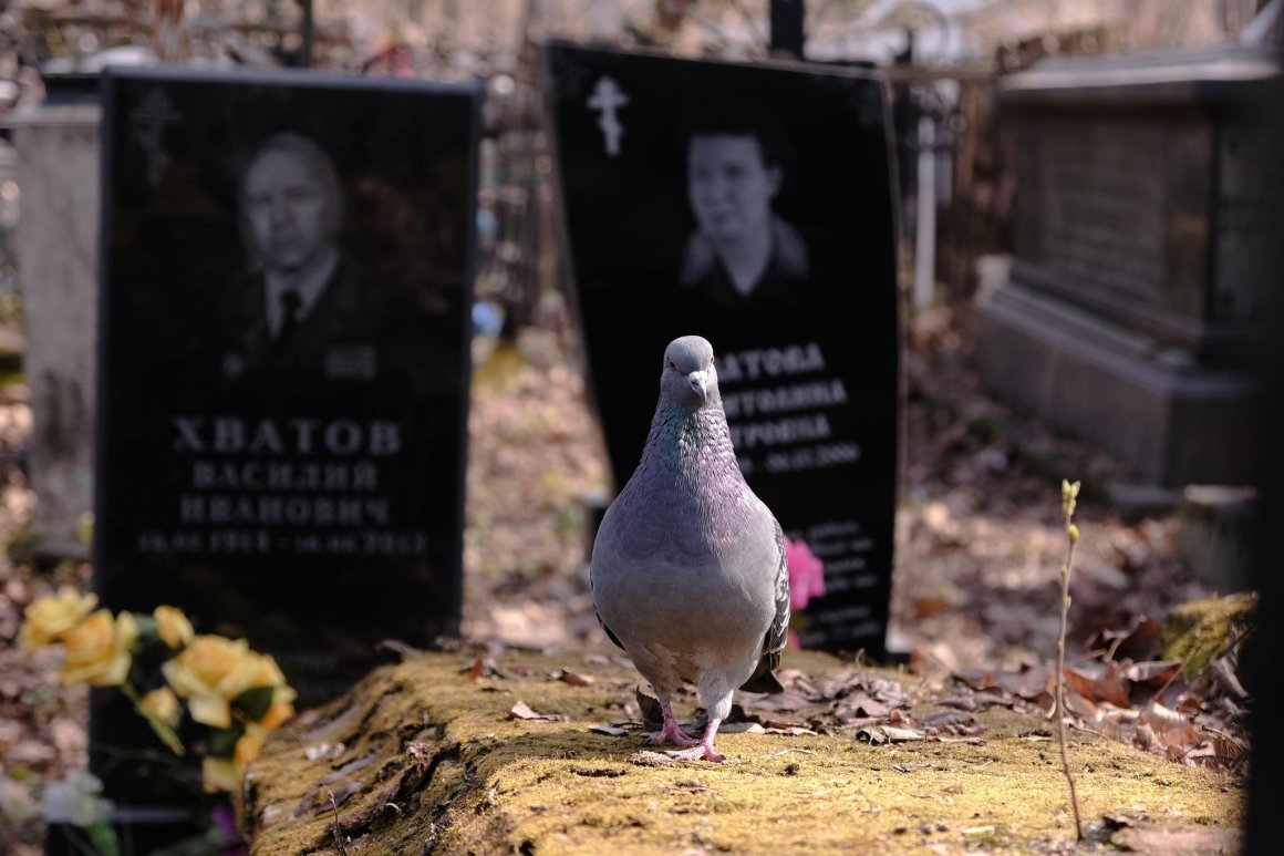 Кладбища во Владивостоке до 30 апреля лучше не посещать